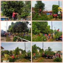 KERJA-KERJA CANTAS POKOK DI HADAPAN SK GEMAS