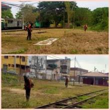 KERJA-KERJA PEMOTONGAN RUMPUT DI KAWASAN SEKITAR MUZIUM KTM GEMAS