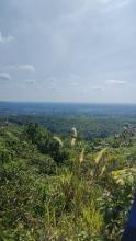bukit2juta1