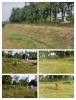  KERJA PEMOTONGAN RUMPUT DI SLOPE DEPAN PEJABAT PERHUTANAN GEMENCHEH